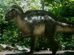 Medium Long Shot hand-held pan-left zoom-out - A dinosaur prowls near tropical plants in a computer-generated animation. / Washington, D.C., USA Stock Footage