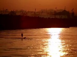 Heron quietly fishing beneath bridge loaded with Kumbh Mela devotees, early morning sun reflected fast flowing river like molten copper. India Stock Footage