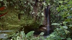 Small waterfall in tropical rainforest in the Ecuadorian Amazon Stock Footage
