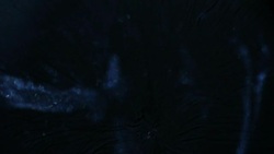 They Swarm Stock Footage