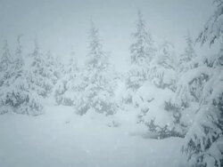 Winter Landscape Stock Footage