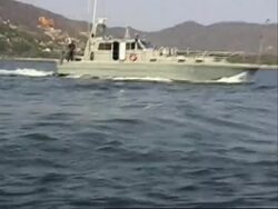 US Surfer survives shark attack News Clip