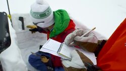 Schneeprofil, Snow profiles, Lawinenexperten, Wissenschaftler Stock Footage