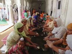 MS Group of women washing utensils as Karseva (selfless service) at Golden Temple (Sikh temple) / Amritsar, Punjab, India Stock Footage