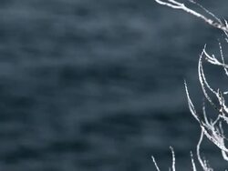 Nahuel Huapi Lake Stock Footage