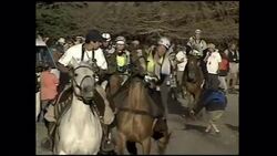 Riders in Patagonia struggle to control wild horses. Stock Footage