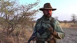 As Sky News joins a trophy hunter hunting a bull elephant in Namibia, 29 countries under the banner of the African Elephant Coalition want a permanent ban on international trade in elephant ivory. News Clip