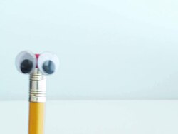 Puppet Pen Stock Footage