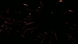 Sparkling red and gold fireworks light up a dark sky. Stock Footage