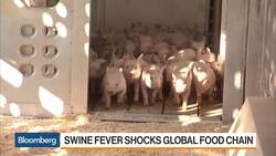 What the Outbreak of Swine Fever in China Means for the Global Food Chain News Clip