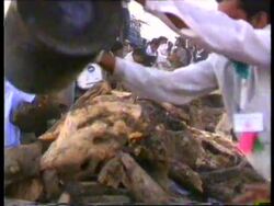 INDIA: VICTIMS OF AIR CRASH DISASTER ARE CREMATED IN MASS CEREMONY News Clip