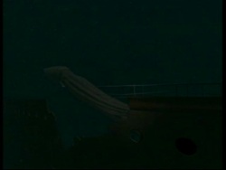 Animation of Architeuthis clarkei, Giant Squid, swimming past ship wreck Stock Footage