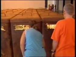 Brazil host exhibition of world artists News Clip