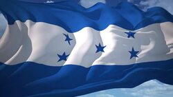 Flag of Honduras Stock Footage