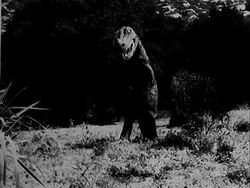 Men in dinosaur suits Stock Footage