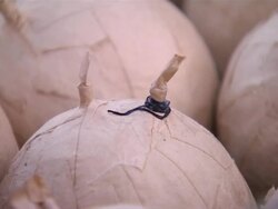 Fireworks factory worker packing fireworks News Clip