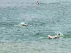 HD: Lake Swimming Stock Footage