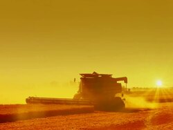 Two Combines Harvesting at Sunset Stock Footage