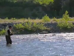 Fly-Fishing in River Stock Footage