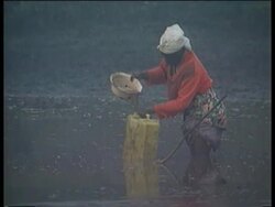 Rwandan refugees dying of cholera and dehydration Stock Footage