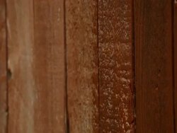 Staining Stock Footage