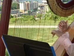 Hand playing the Harp Stock Footage