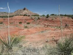 Wild West Stock Footage
