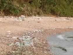 Sea water has contaminants. Stock Footage