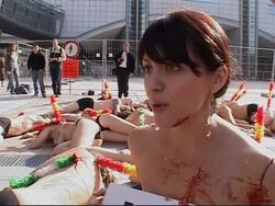 Protest held over EU funding of bull fighting News Clip