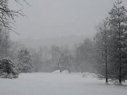 Alpine Snow Stock Footage