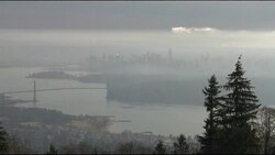 CLEAN: Senegal star Youssou Ndour files presidential bid News Clip