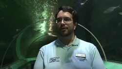 CLEAN: Aussie Santas swim with sharks News Clip