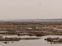 MS TS People on pirogues with logs of wood around / Lagos, Nigeria Stock Footage