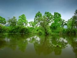 sailing on wetlands of Li river Stock Footage