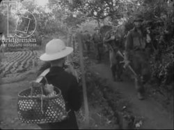 Australian troops search and interrogate villagers, children play and sell fruit and fish, army medics provide medical care. Vietnam War 1968 Stock Footage