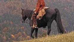 DS Female rancher riding her horse down the hill Stock Footage