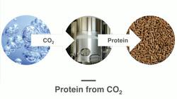 TED: A forgotten Space Age technology could change how we grow food | Lisa Dyson Instructional Video