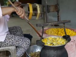 Boiling silkworm cocoon Stock Footage