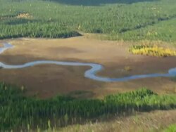 WS ARIEAL View of Meandering river in Baxter State Park / Maine, United States Stock Footage
