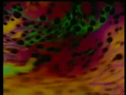 Moving multi coloured liquid, oil or detergent, special effect Stock Footage