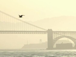 San Francisco, Golden Gate Bridge Stock Footage
