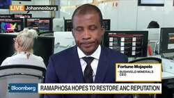 Bushveld Minerals CEO on Business Sentiment, M&A, Flow Batteries News Clip