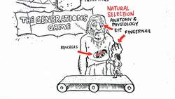 Denis Dutton: A Darwinian theory of beauty Instructional Video