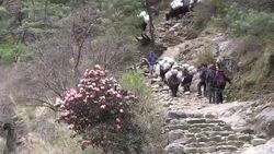 CLEAN : Nervous return to Everest a year after deadly avalanche News Clip