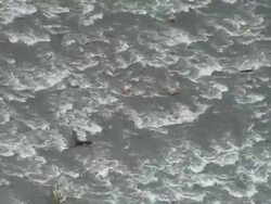 AERIAL WS Fast moving shallow water on Isere River / Rhone-Alpes, France Stock Footage