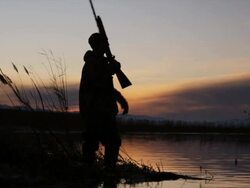 hunter turning and walking away from the pond Stock Footage