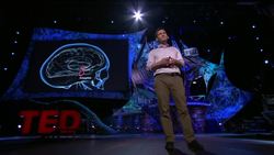 Daniel Reisel: The neuroscience of restorative justice Instructional Video
