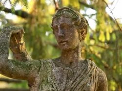 Rack Focus on Mossy Statue Stock Footage