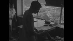 CAN755 JAIN RELIGION HOSPITAL TO HEAL AND RECUPERATE BIRDS Instructional Video