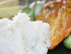 Grilled chicken with sticky rice Stock Footage